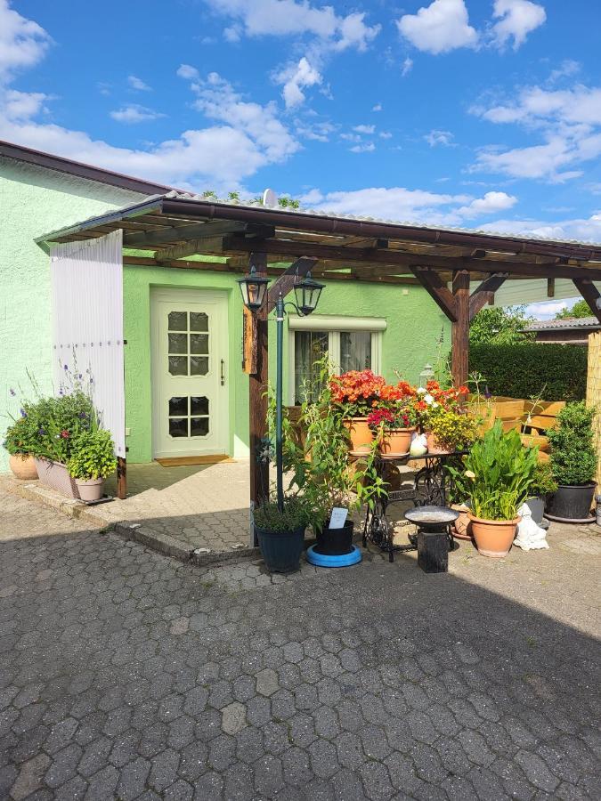 Ferienwohnung Bauerngarten Klein Vielen エクステリア 写真