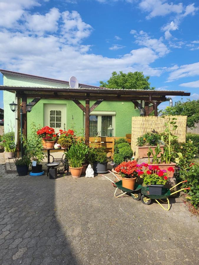 Ferienwohnung Bauerngarten Klein Vielen エクステリア 写真